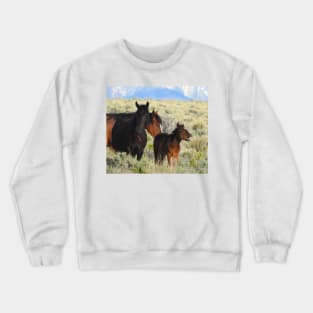 Wild horses, mustangs, wildlife, gifts Crewneck Sweatshirt